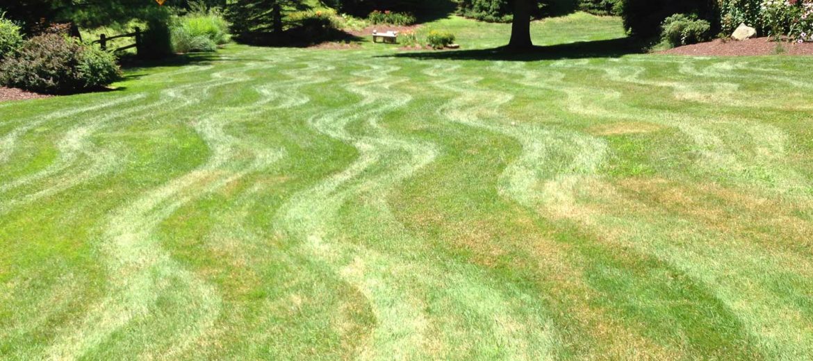 Lawn Care